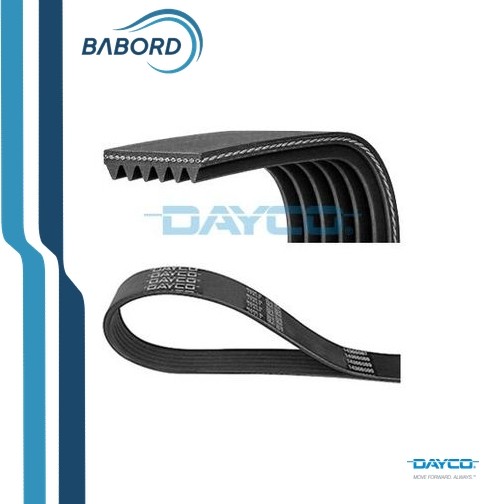 Cinghia trapezoidale multirighe 6PK1019EE DAYCO per FORD MAZDA - Immagine 3