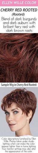 CLEO Wig by ELLEN WILLE *ALL COLORS!* Heat Friendly, Monofilament Crown NEW - Picture 12 of 21