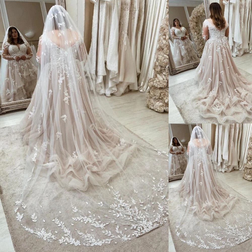 Champagne Wedding Dresses with Veil Long Sleeves Plus Size V Neck Bridal  Dresses