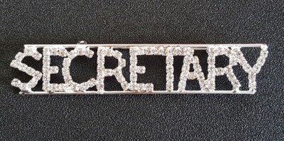 SECRETARY Rhinestone Pin for That Outstanding Assistant-3 1/2 inches