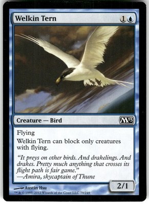 Welkin Tern 79 C Magic 2013 (M13) 2012