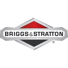 Briggs  Stratton Carburetor  84002416