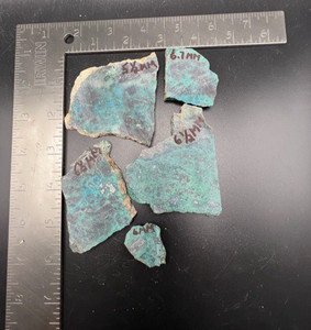 Lot of 5 Parrot Wing Chrysocolla 185 gr Item # 513