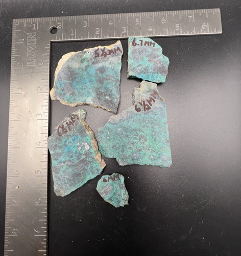 Lot of 5 Parrot Wing Chrysocolla   185 gr    Item # 513