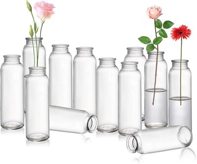 Set Of 12 Glass Bud Vase In Bulk Clear Bud Vases For Flowers Small Vintage Flowe