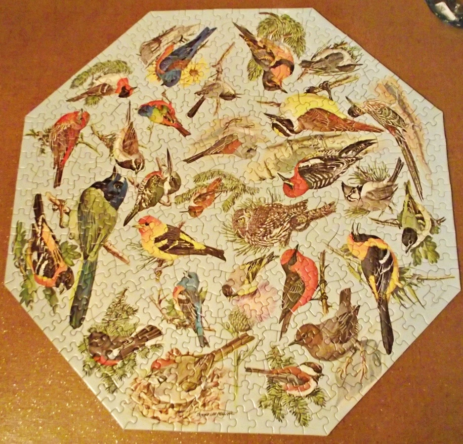 COMPLETE Springbok Octagon Okta-Puzzle Jigsaw 1968 Western Birds Malick PZL 8015 - Image 2 of 4