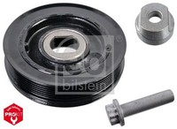 Febi Bilstein 175310 Riemenscheibe, Kurbelwelle Passend FüR Fiat Opel Renault