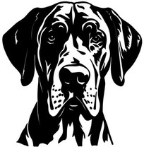 New Great Dane Dog Decal Sticker Black or White Permanent Vinyl Handmade Car 4  
