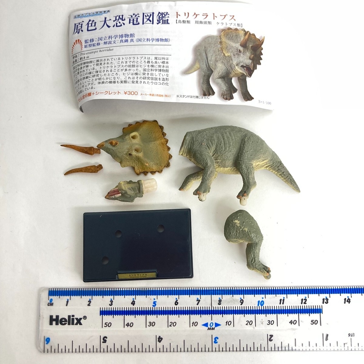 3D Capsule Encyclopedia Dinosaur Mini Figure Triceratops Takara