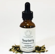 BEARBERRY Herbal Supplement / Liquid Extract Tincture / Arctostaphylos uva-ursi