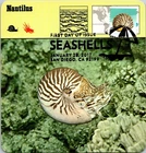 Dr Jim Stamps Maximum Card Seashells Zebra Nerite Shell Design Fdc