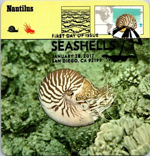Dr Jim Stamps Maximum Card Seashells Zebra Nerite Shell Design Fdc