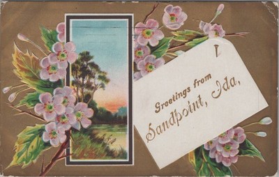Sandpoint Idaho Greetings Flowers Apple Blossom Gold Germany postcard GP8