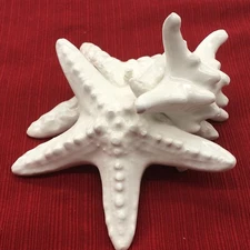 Capodimonte Ceramic White Starfish Sculpture I Borbone Beach Decor Italy 5.5" W