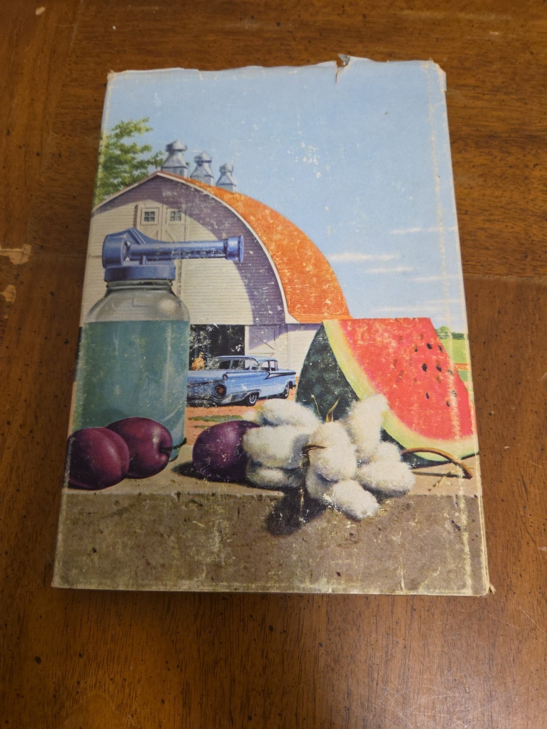 Picture 5 of 5