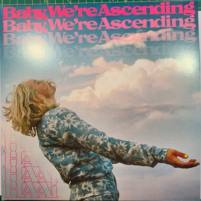 欧2LP HAAi Baby, Were Ascending XSTUMM475 Mute /00520 2LP HAAI Baby, We're Ascendin XSTUMM475 Mute EUROPE | eBay
