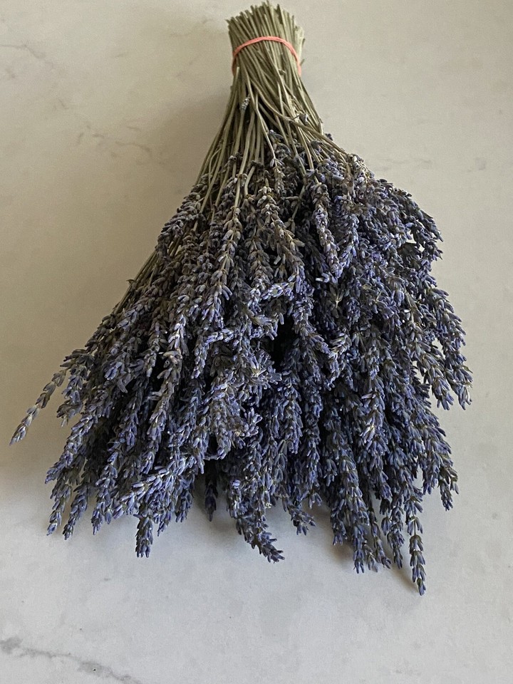 Dried LAVENDER Bunch BOUQUET Bundle FRAGRANT 250+ Stems USA Dried