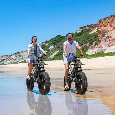 JANSNO X50 20'' Electric Bike 750W 48V 17Ah Dual Suspension Fat Tire Adult Ebike