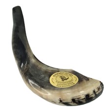 Shofar Shofarot Ram Horn Polished Kosher Made In Israel 8" x 7"