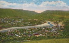 Coopersdale, Oakhurst and Morrellville Sections of Johnstown PA Postcard