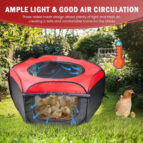 Chick Brooder Tent - High-Quality, Easy-Clean Rearing Solution for Poultry - Picture 5 of 10