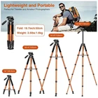 Travel Friendly Camera Tripod, 12 lb Weight Limit