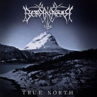 Borknagar: True North - Century Media - (Cd / T)