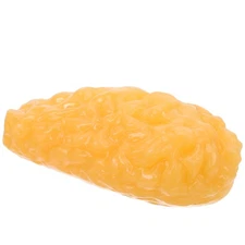 Human Body Fat Model Anatomy Clinical Tissue Display Nutrition Analysis