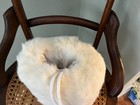 Vintage accessories for women;  faux white rabbit fur "Muff" for girls — photo 1