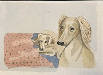 Saluki Original Watercolor By J M Rash
