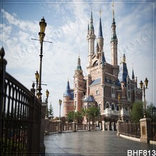 10'x10' Cityscape Computer-painted Vinyl Scenic Photo Background Backdrop BHF813