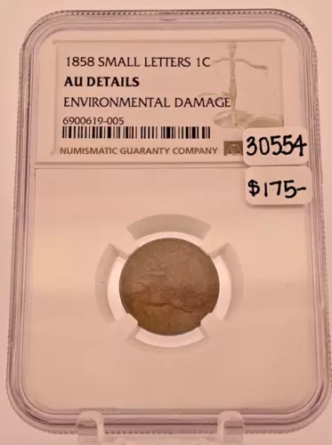 NGC 1858 SMALL LETTERS FLYING EAGLE CENT AU DETAILS ENVIRONMENTAL DAMAGE