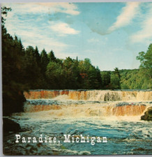 Tahquamenon Falls State Park, Chippewa County, MI Vintage 1959 Postcard Unposted