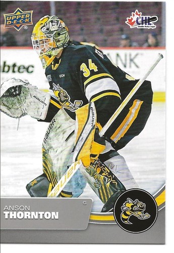 2021-22 Upper Deck CHL Hockey Base "You Pick from list #1-#250" - Picture 451 of 502
