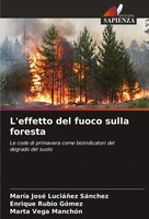 MaríA José LuciáñEz SáNchez (U. A.) | L'effetto Del Fuoco Sulla Foresta | Buch