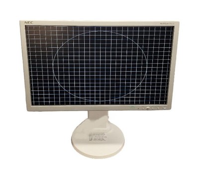 NEC MultiSync E201W - 20'' - LED Hintergrund - Weiß/Silber - Pixelfehler