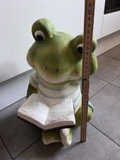 Deko Frosch Mit Buch