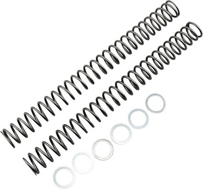 Race Tech Fork Spring 0.42 kg/mm Pair for BETA RR 250 20-22