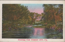 Greetings From Forest City PA 1935 River Stream Wooded Trees Postcard