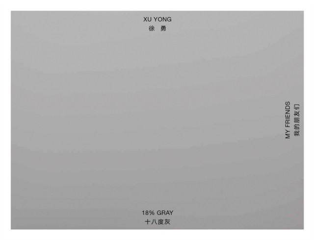 Xu Yong 18% GRAY / MY FRIENDS (Hardback Book)