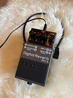 Boss RV 5 Digital Reverb Effects Pedal