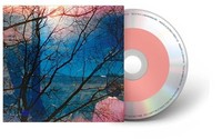 Idlewild - Cd - E1111Z