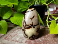 Septarian Freeform crystals rocks minerals