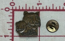 Vintage Tigre Cuccioli Ragazzo Scout BSA B. S. A. Rango Insignia Badge Award Pin