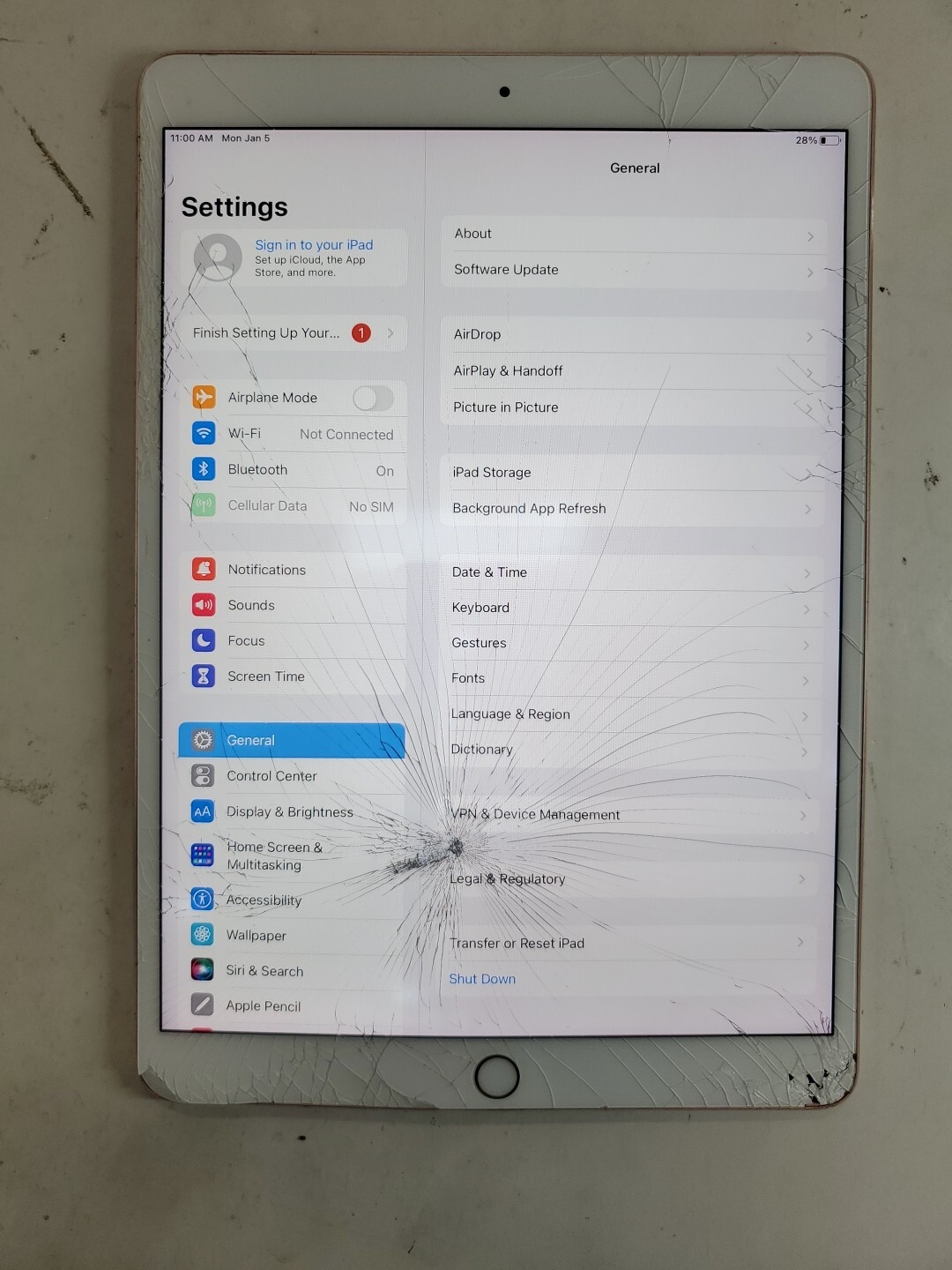 Apple iPad Pro 10.5