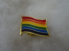Pride Rainbow Flag display logo pin