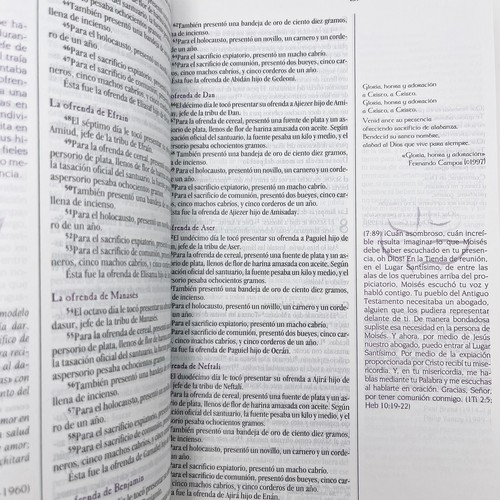 NVI Maranatha! Biblia de Adoracin Rustica Spanische Ausgabe Gut - Bild 5 von 10