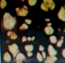 Duncan Discontinued RARE Crystaltone Glaze Coffee Galaxy  Colors 4 oz. Free Ship