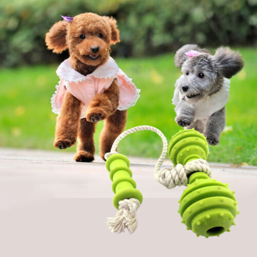  Dog Rubber Toys Pet Puppy Funny Dental Teething Teeth Gums Chew Hammer Barbell - Afbeelding 1 van 11