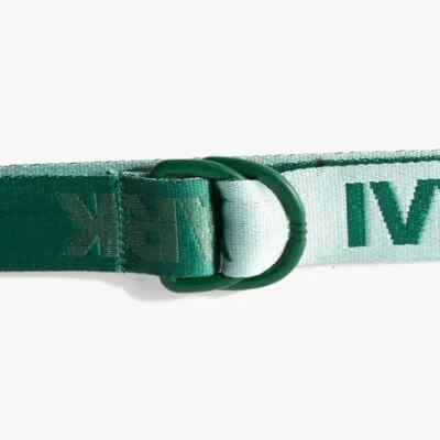 Women’s Adidas Ivy Park Logo Belt Adidas x Ivy Park Logo Belt GK7372 Maroon Red Womens Size S  main image 3